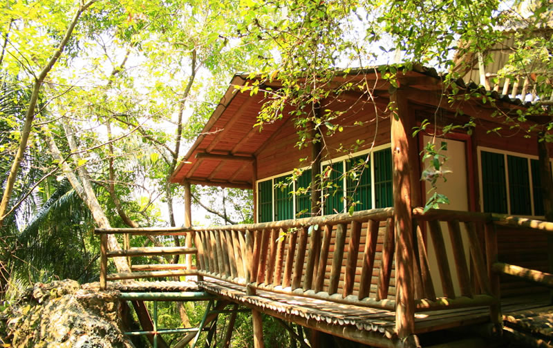 Ecohotel El Reposo La Naturaleza Del Descanso